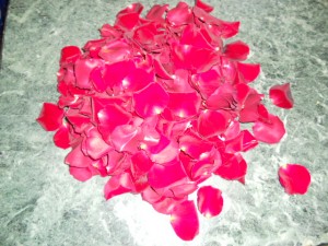 Płatki róż w kolorze czerwonym
